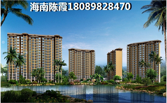 为什么XG后海南房价还在生纸