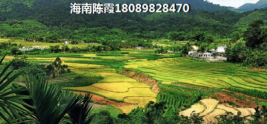 海南陵水房价2025上涨了吗今天