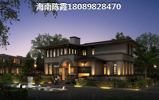 自制小天平的制作原理是什么?